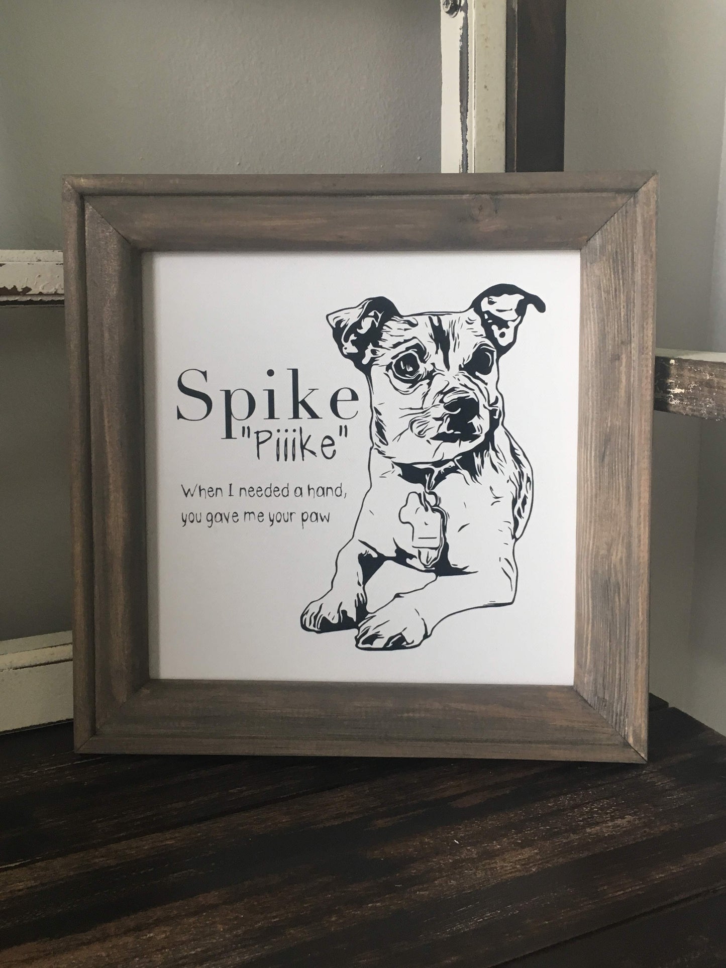 Pet Portrait