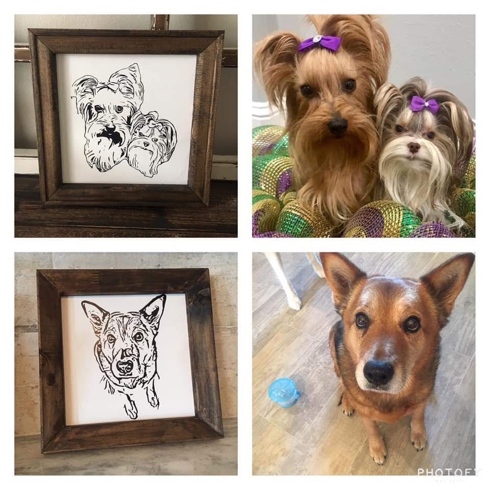 Pet Portrait