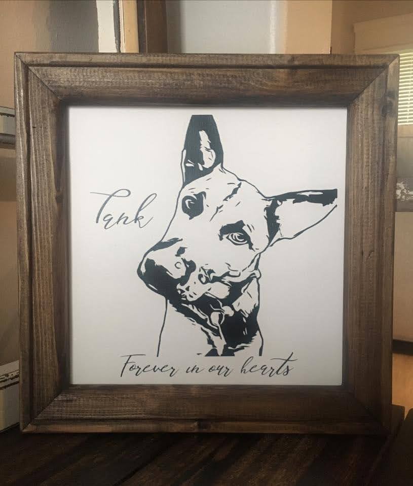 Pet Portrait