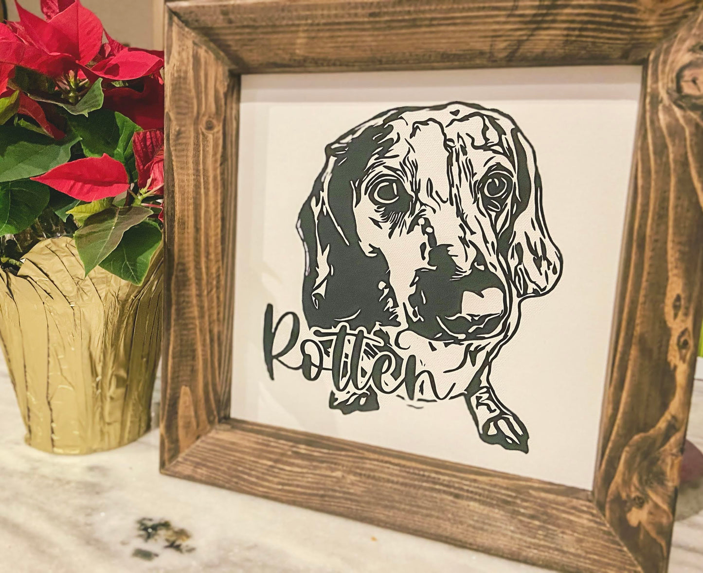 Pet Portrait