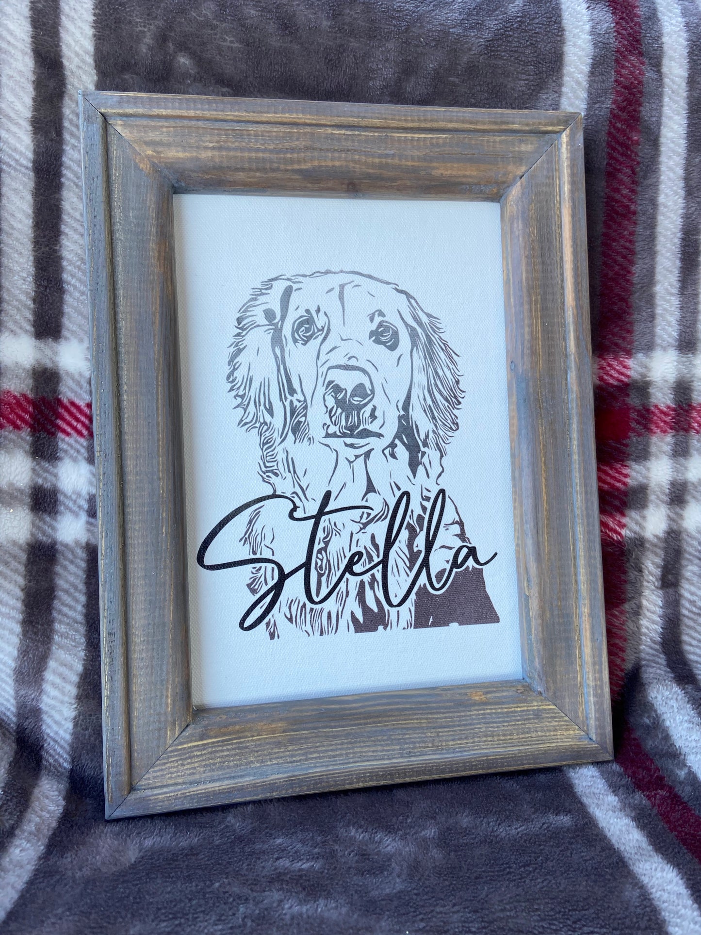 Pet Portrait
