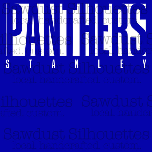 PANTHERS End Zone