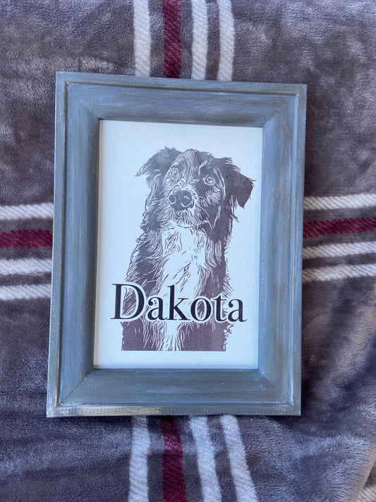 Pet Portrait